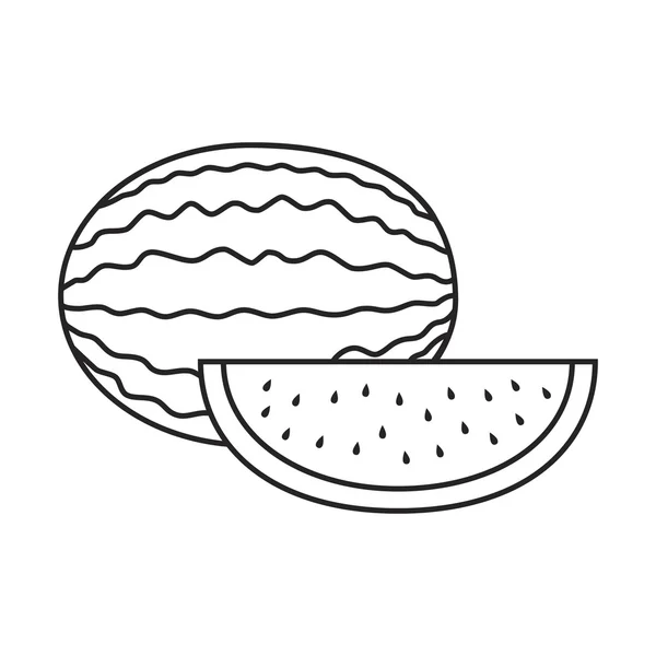 Icône de ligne pastèque — Image vectorielle