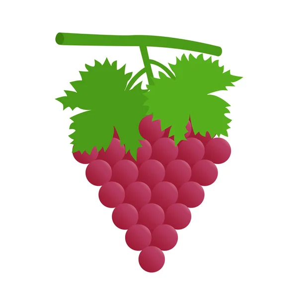 Rode druif met bladeren — Stockvector