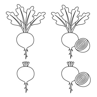 Satır kümesi pancar - pancar yaprakları ile ve pancar, yarısı pancar yaprakları olmadan ve pancar yarısı