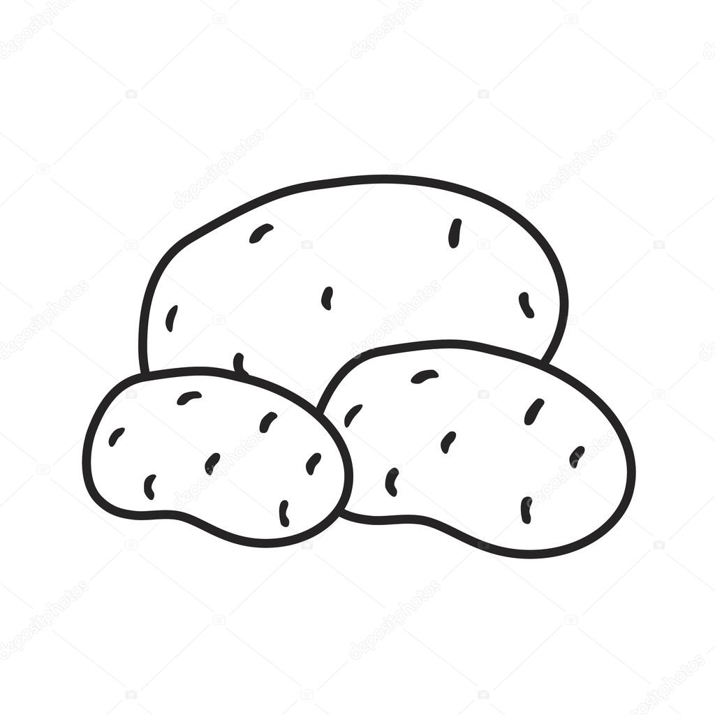 Line icon potatoes
