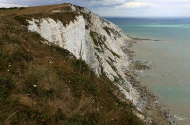 Eastbourne, İngiltere yakınlarındaki dramatik bir gökyüzüne karşı önplanda tebeşir kayalıkları ve uzun otlar manzaralı manzara fotoğrafı