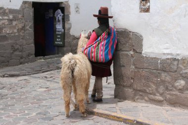 Peru 'nun tarihi caddelerinde geleneksel Peru kıyafetleri giymiş bir kadın alpakasıyla yürüyor..