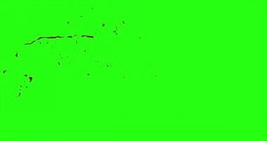 Kan patlama ile hareket bulanıklığı