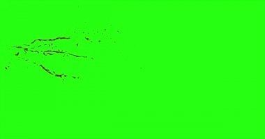 Kan patlama ile hareket bulanıklığı