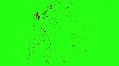 Kan patlama ile hareket bulanıklığı