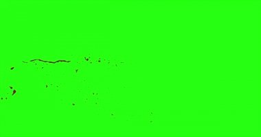 Kan patlama ile hareket bulanıklığı