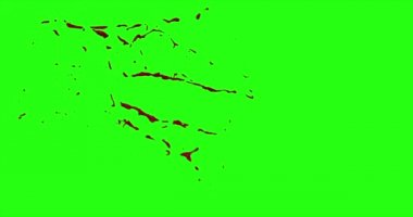 Kan patlama ile hareket bulanıklığı