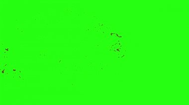 Kan veri bloğu hareket bulanıklığı