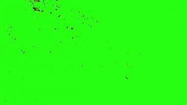 Kan veri bloğu hareket bulanıklığı