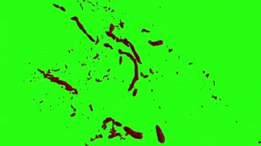 Kan patlama ile hareket bulanıklığı