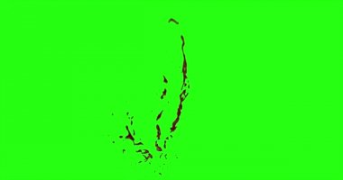 Kan patlama ile hareket bulanıklığı