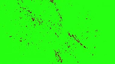 Kan patlama ile hareket bulanıklığı