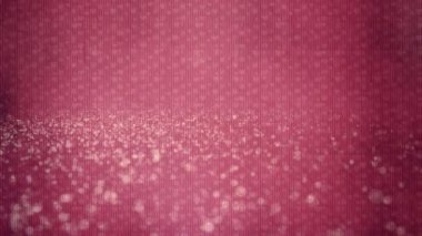 Sevgililer Günü geçmişi