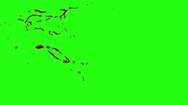 Kan patlama ile hareket bulanıklığı