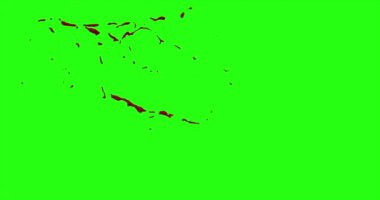 Kan patlama ile hareket bulanıklığı