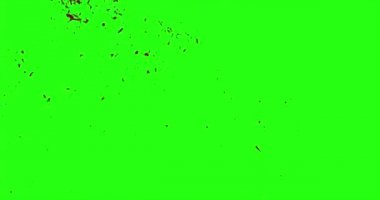 Kan patlama ile hareket bulanıklığı