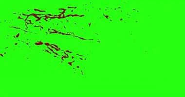 Kan patlama ile hareket bulanıklığı