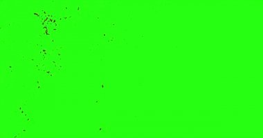 Kan patlama ile hareket bulanıklığı