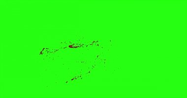 Kan patlama ile hareket bulanıklığı