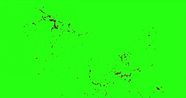 Kan patlama ile hareket bulanıklığı