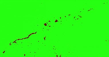 Kan patlama ile hareket bulanıklığı