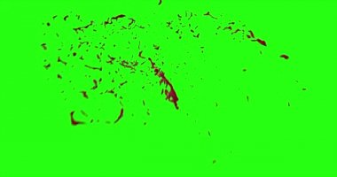 Kan patlama ile hareket bulanıklığı