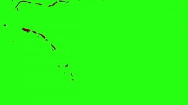 Kan patlama ile hareket bulanıklığı