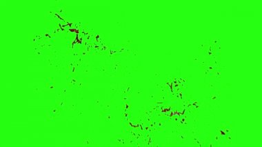 Kan veri bloğu hareket bulanıklığı