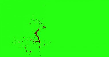 Kan patlama ile hareket bulanıklığı