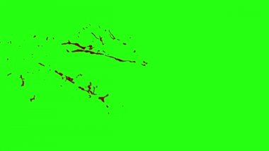 Kan veri bloğu hareket bulanıklığı