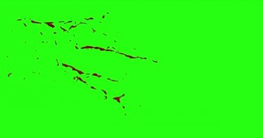 Kan patlama ile hareket bulanıklığı