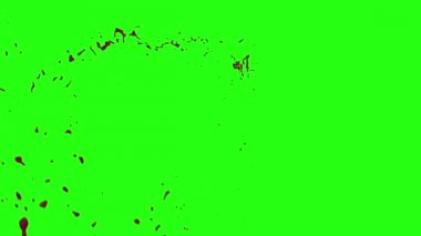 Kan patlama ile hareket bulanıklığı