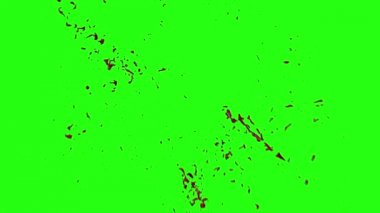 Kan veri bloğu hareket bulanıklığı