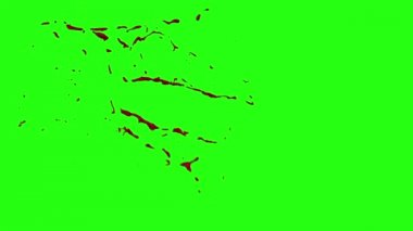 Kan patlama ile hareket bulanıklığı