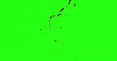 Kan patlama ile hareket bulanıklığı