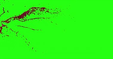 Kan patlama ile hareket bulanıklığı