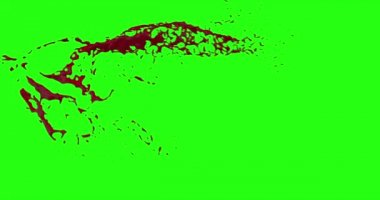 Kan patlama ile hareket bulanıklığı