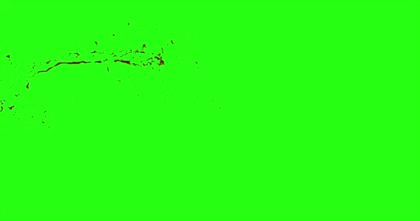 Le sang éclate de flou. 