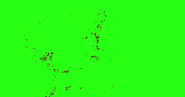 Le sang éclate de flou. 