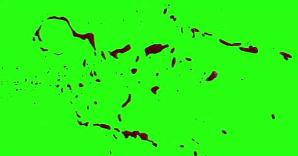 Le sang éclate de flou. 