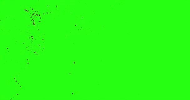 Krwi Burst z Motion Blur — Wideo stockowe