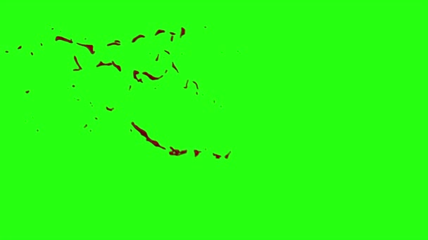 Le sang éclate de flou. 