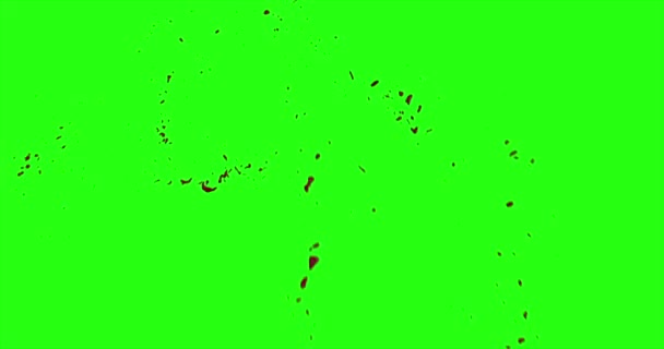 Le sang éclate de flou. 