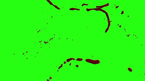 Le sang éclate de flou. 