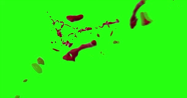 Explosão de sangue com borrão de movimento — Vídeo de Stock
