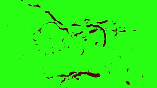 Le sang éclate de flou. 