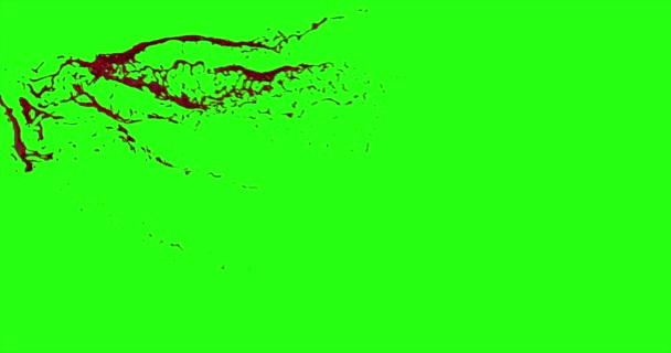 Le sang éclate de flou. 