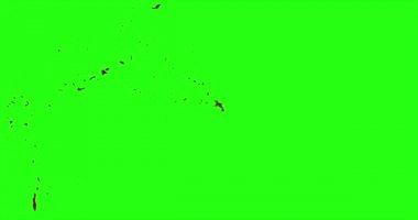 Kan patlama ile hareket bulanıklığı