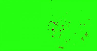 Kan patlama ile hareket bulanıklığı