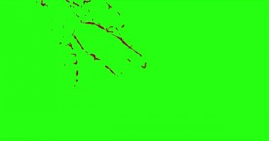 Kan patlama ile hareket bulanıklığı